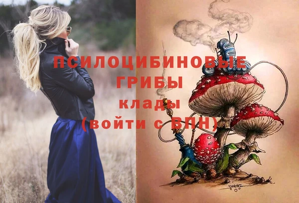ГАЛЛЮЦИНОГЕННЫЕ ГРИБЫ Алексин