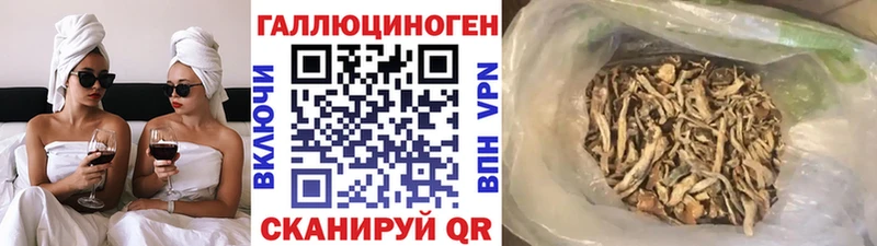Галлюциногенные грибы Psilocybe  цена наркотик  Старый Оскол 