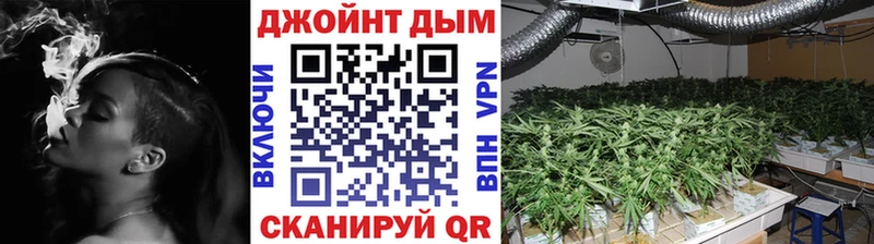 где найти   Старый Оскол  это наркотические препараты  Каннабис индика 